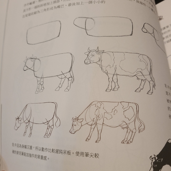 Other Le Dessin Facile Drawing New Lise Herzog Drawing Poshmark